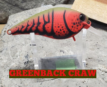 Load image into Gallery viewer, Rapala DT10 Klone Crankbait- Dives to 10ft